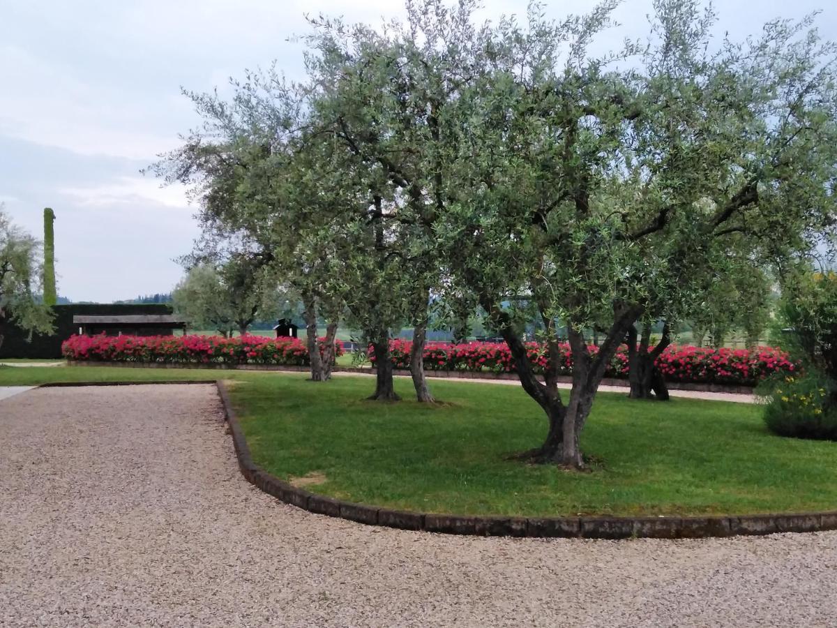 Agriturismo Le Ginestre Lazise Ngoại thất bức ảnh