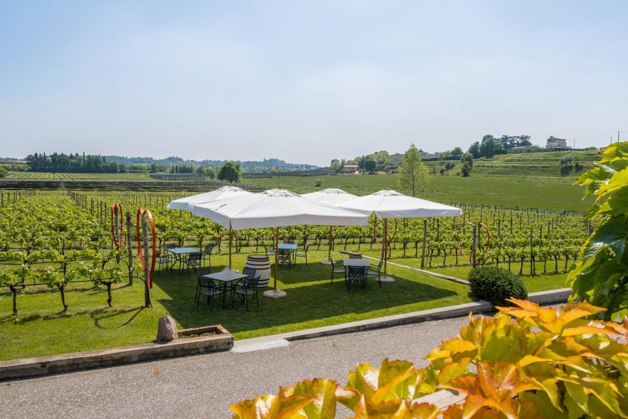 Agriturismo Le Ginestre Lazise Ngoại thất bức ảnh